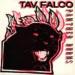 Tav Falco & Panther Burns - Tav Falco Panther Burns