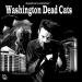 Washington Dead Cats - A Good Cat Is A Dead Cat