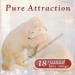 Céline Dion, Gloria Estefan, Paul Young, Cyndi Lauper, Bangles Et Autres... - Pure Attraction - 18 Essential Love Songs