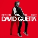 David Guetta - Nothing But Beat