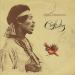 Hendrix Jimi - Crash Landing