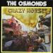 Osmonds, The - Crazy Horses