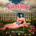 Katy Perry - One The Boys