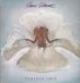 Amii Stewart - Paradise Bird Lp