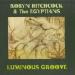 Robyn Hitchcock & Egyptians - Luminous Groove