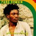 Horace Andy - Pure Rankin