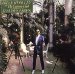 Woolley & The Camera Club - English Garden