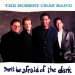 Robert Cray - Don't Be Afraid Of The Dark