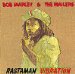 Marley Bob - Rastaman Vibration