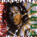 Ziggy Marley & The Melody Makers - Conscious Party