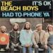 Beach Boys, The - It's O.k.