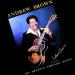 Brown, Andrew - Big Brown's Chicago Blues