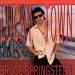 Springsteen Bruce - Lucky Town