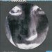 Marilyn Manson & Spooky Kids - Coke And Sodomy, Vol. 1
