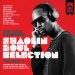 Rza Presents - Shaolin Soul Selection Volume 1