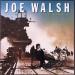 Joe Walsh - You Bought It. You Name It