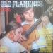 Roberto De Villargarcia - Ole Flamenco