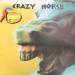 Crazy Horse (71) - Crazy Horse