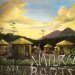 Natural Roots - Natural Roots