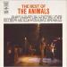 Animals - Best Of Animals