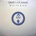 Laflamme David - White Bird
