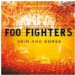 Foo Fighters - Skin & Bones