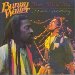 Wailer Bunny - Time Will Tell