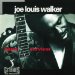 Joe Louis Walker - Blues Survivor