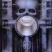 Brain Salad Surgery