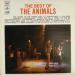 Animals - Best Of Animals