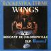 The Wings - Rochestra Theme