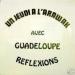 Guadeloupe Reflexion - Un Jeudi à L'arawak Avec...