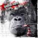 Shaka Ponk - The White Pixel Ape (smoking Isolate To Keep In Shape)