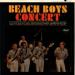 Beach Boys - Beach Boys Concert