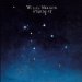 Willie Nelson - Stardust