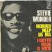 Stevie Wonder - Heaven Help Us All