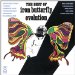 Iron Butterfly - Best Of Iron Butterfly Evolution