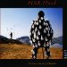 Pink Floyd - Delicate Sound Of Thunder (1988 Master)