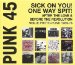 Soul Jazz Records Presents - Punk 45: Sick On You! One Way Spit! After The Love And Before The Revolution Vol.3: Proto-punk 1969-76