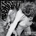 Mudhoney - Superfuzz Bigmuff