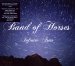 Band Of Horses - Infinite Arms