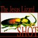 Jesus Lizard - Shot