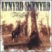 Lynyrd Skynyrd - Last Rebel, The