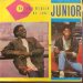 Junior - Do You Really Want My Love 7 Inch