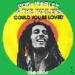 Bob Marley & The Wailers - Could You Be Loved / One Drop