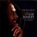 Bob Marley & The Wailers - Natural Mystic: Legend Lives On