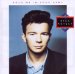 Rick Astley - Hold Me In Your Arms