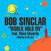 Bob Sinclar Feat. Steve Edwards - World, Hold On