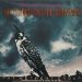 Pat Metheny Group - Pat Metheny Group - The Falcon And The Snowman
