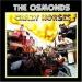 The Osmonds - Crazy Horses